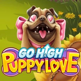 Play the Go High Puppy Love slot by RubyPlay on Goldzino Casino