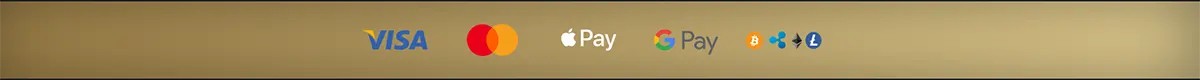 Online casino payment methods banner displaying Visa, Mastercard, Apple Pay, Google Pay, Bitcoin and Litecoin logos on a gold background.